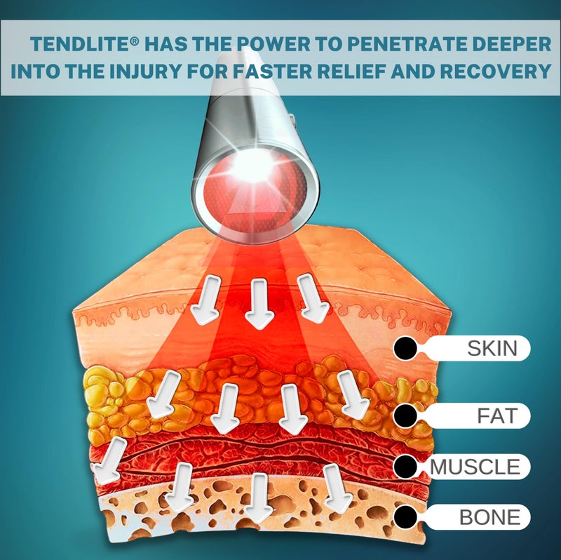 SHINE VETLIGHT Red Light for Dogs, Cats, Horses and Other Animals. - Image 2